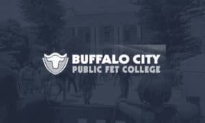 buffalo city Splash Image 1